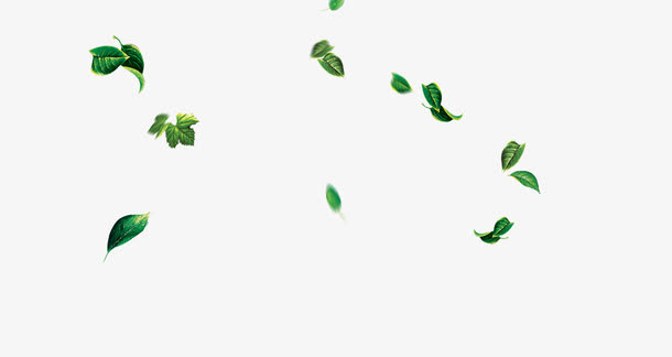 树叶免抠