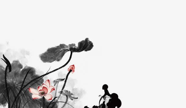 荷花免抠