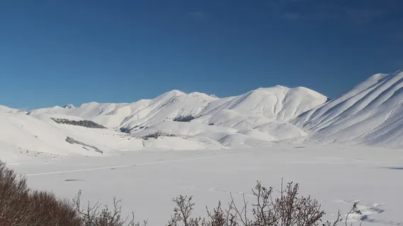大雪天背景(1920*1080)高清 大雪天背景(1920*1080)高清