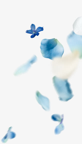 花瓣免抠