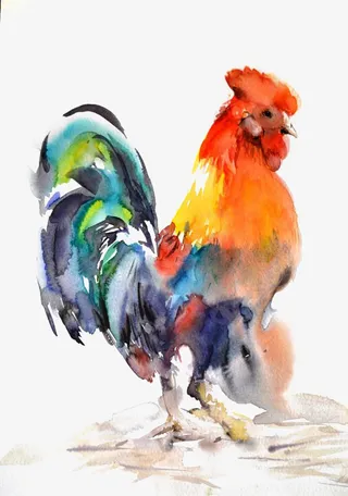 水彩公鸡免抠