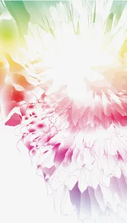 彩色花朵矢量图免抠 彩色花朵矢量图免抠