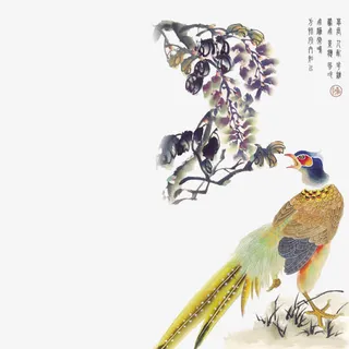 水彩古风孔雀鸟树枝花朵免抠