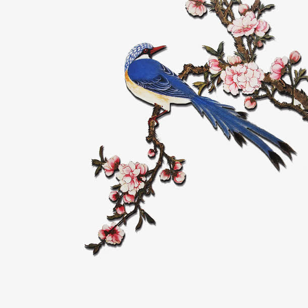 小鸟免抠