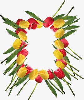 郁金香矢量图免抠