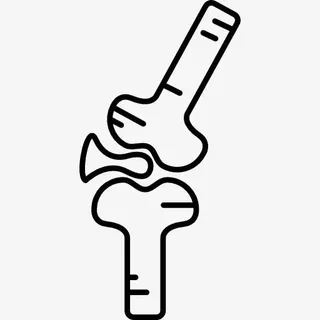 骨关节图标免抠