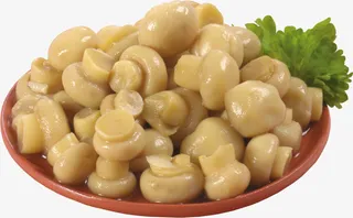 蘑菇背景 蘑菇壁纸 蘑菇摆拍