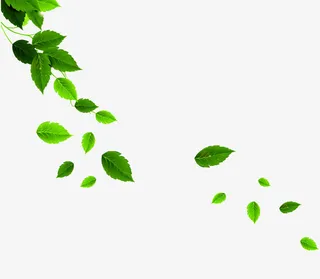 唯美漂浮树叶免抠
