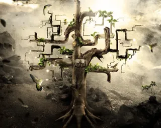 后期合成植物窗户免抠