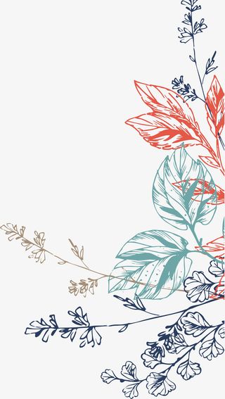 多彩线条植物免抠