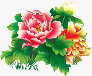 手绘绿叶黄色粉色菊花免抠