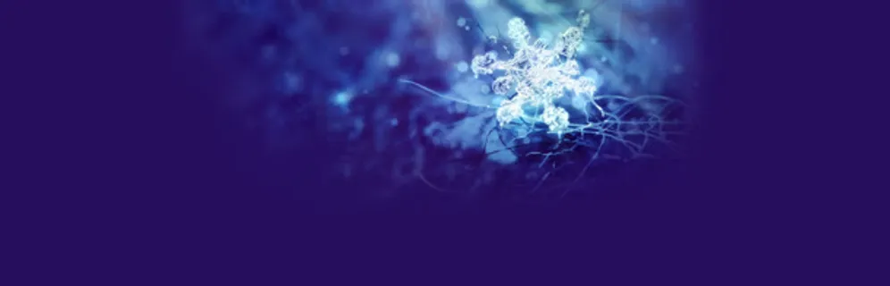 冬季雪花唯美背景banner