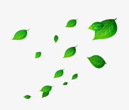 叶子免抠