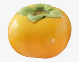 柿子免抠