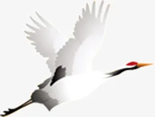 仙鹤飞翔免抠