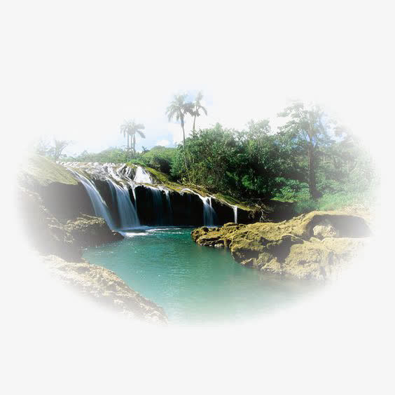 热带风景免抠