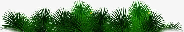 黑绿色圣诞节植物装饰免抠