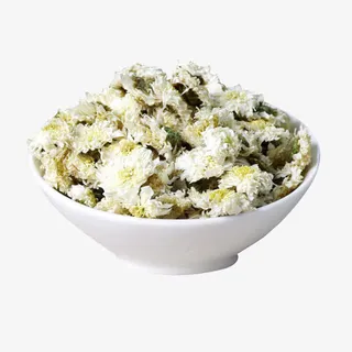 黄山贡菊花免抠