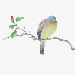 漂亮的鸟儿工笔画图片免抠