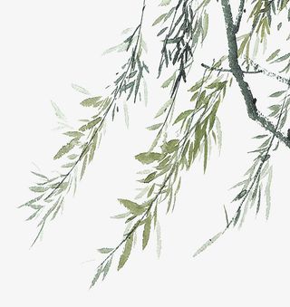 柳叶飘扬朦胧水墨免抠