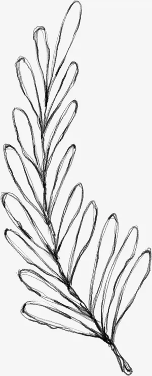 水墨花朵元素75免抠