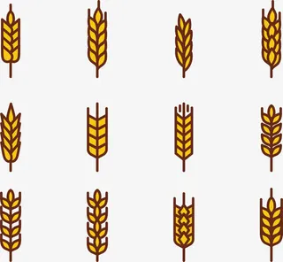 金黄色稻谷麦穗图标免抠