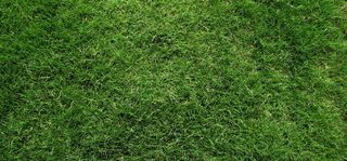 绿色草地背景banner高清