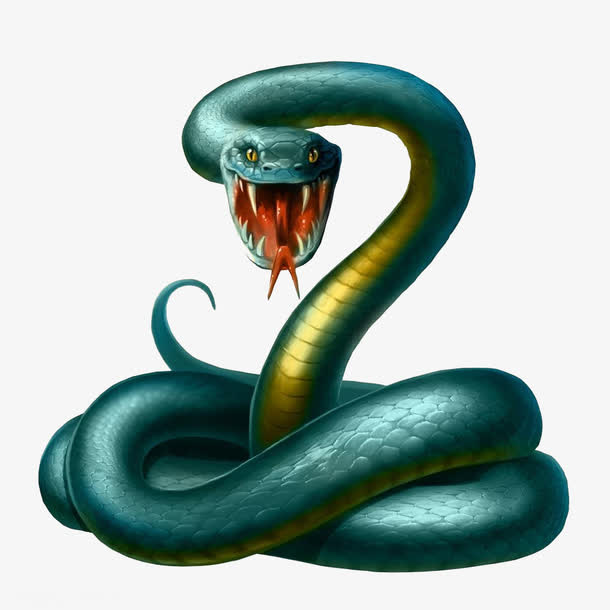 盘旋的蛇免抠