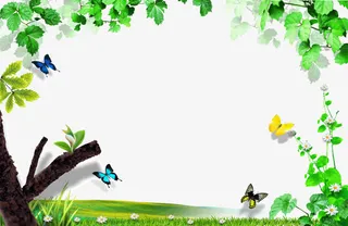 春天  绿色 边框  树叶免抠