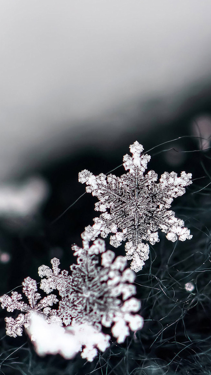 简约黑白雪花手机端H5背景高清