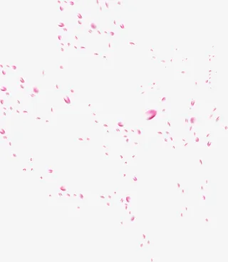 唯美粉色花瓣海报背景七夕情人节