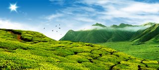 茶园山水风景背景高清