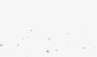 花瓣漂浮素材免抠