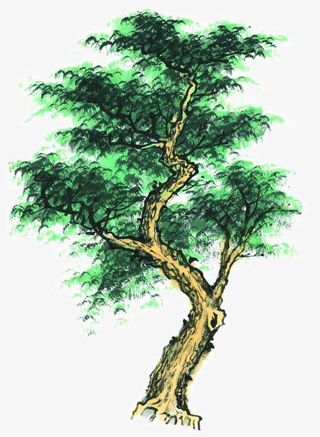 写意树木免抠