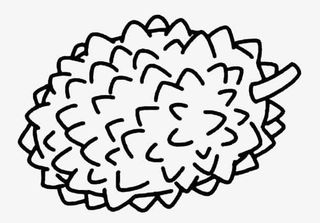 手绘整个榴莲图案免抠