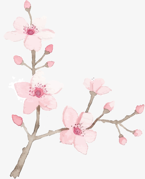 粉色水彩美丽桃花免抠