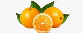 冰糖橙图片免抠