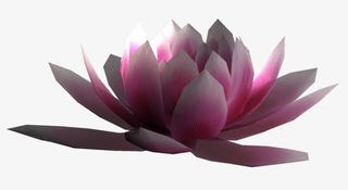 装饰素材卡通装饰图片免抠