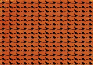 万圣节卡通猫咪背景