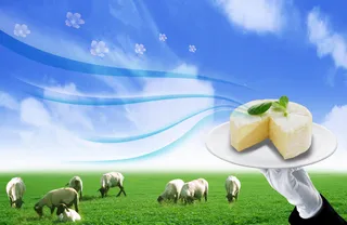 绿色大草原高清