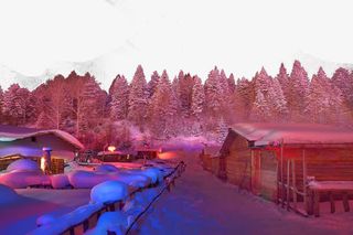 长汀镇双峰林场免抠