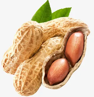 花生免抠