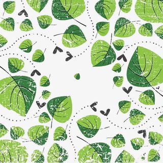 手绘花朵线描树叶免抠