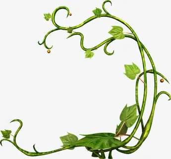 树叶树枝弧免抠