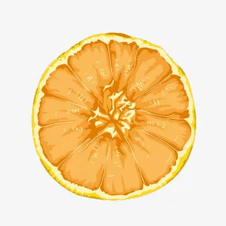 柑橘横截面手绘效果图免抠