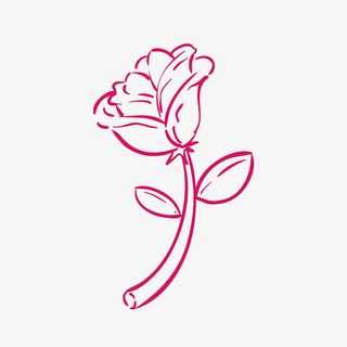 手绘玫瑰 线条玫瑰免抠