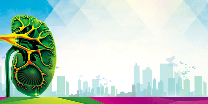 关注男性健康设计高清