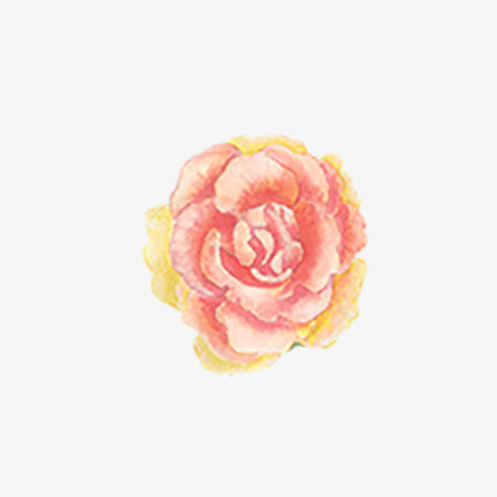 卡通牡丹花免抠