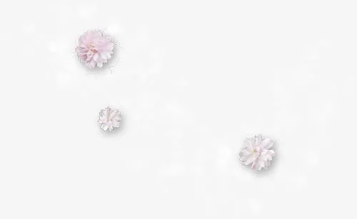 花卉免抠