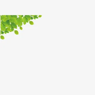 春天    树叶    绿植  郊游免抠